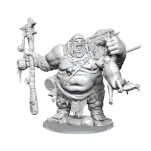 D&D Frameworks: Hill Giant Miniature