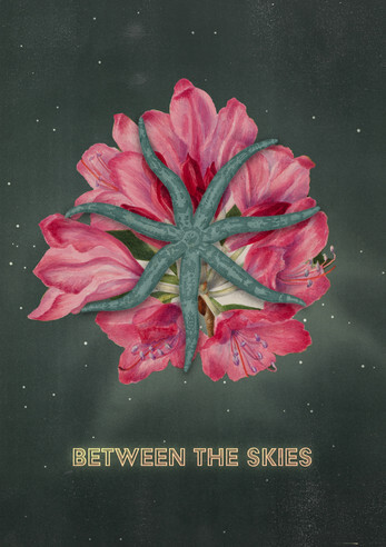 Between The Skies