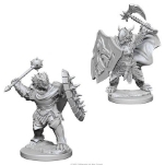 WizKids D&D: NMU: Dragonborn Male Paladin W4