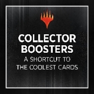 Magic the Gathering the Lord of the Rings: Tales of Middle-Earth Special Edition Collector Booster Box