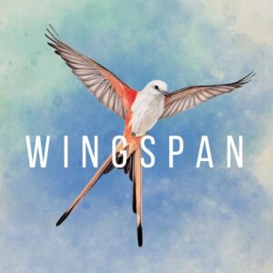Rental - Wingspan