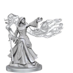 WizKids Female Dungeons & Dragons Frameworks Wave 1 Elf Wizard Miniatures