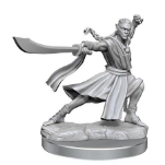 Wizkids Male Dungeons & Dragons Frameworks Wave 1 Elf Monk Miniatures