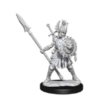WizKids Female Dungeons & Dragons Frameworks Wave 1 Human Fighter Miniatures